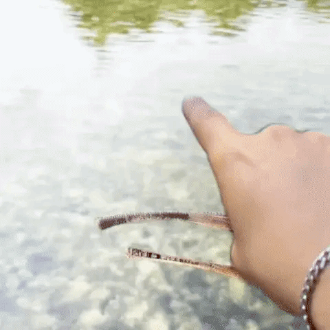 FishFinder - Okulary wędkarskie XRay